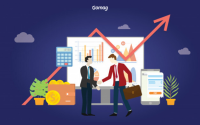 Platforma Ecommerce B2B – Vezi cum vinzi online catre alte firme