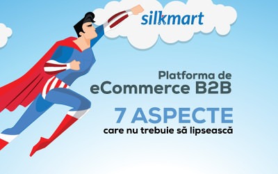 Infografic Platforma eCommerce B2B