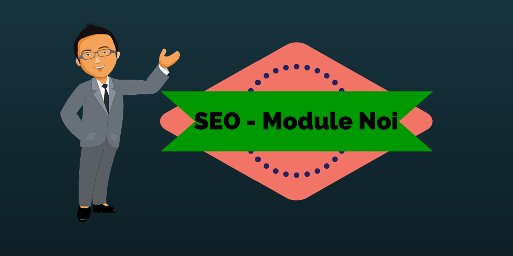seo module noi
