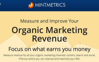 Mintmetrics: Cum Afli Ce Isi Doresc Clientii Tai