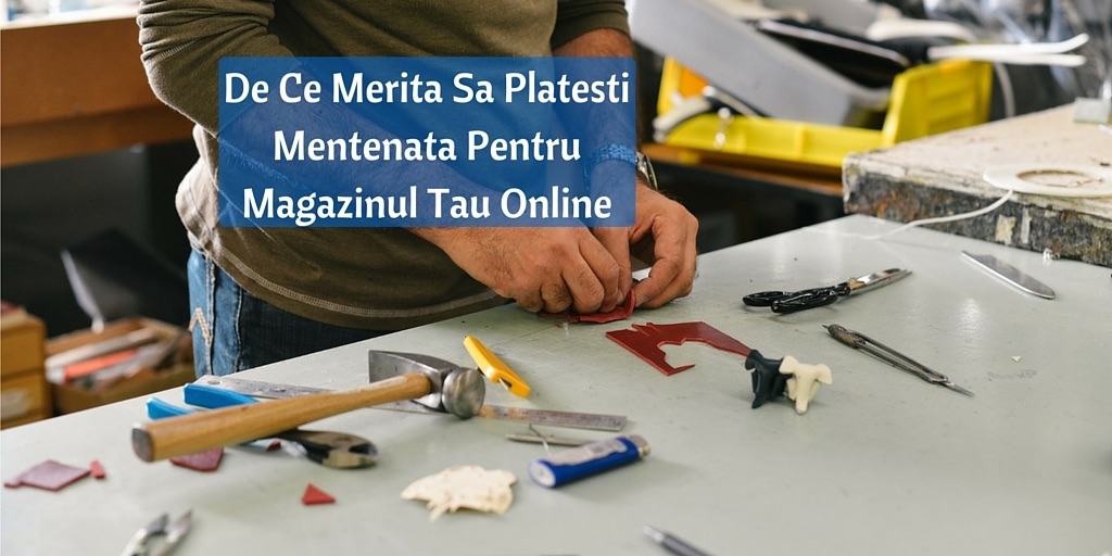 mentenanta ecommerce