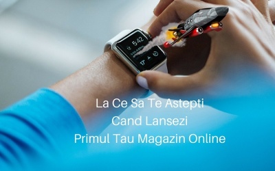 La Ce Sa Te Astepti Cand Lansezi Primul Tau Magazin Online
