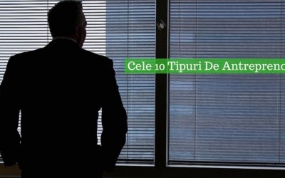Cele 10 Tipuri De Antreprenori