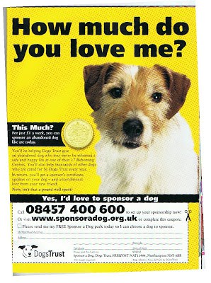 dogtrust-ad