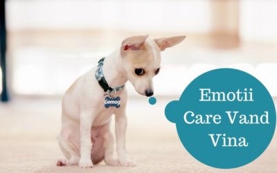 Emotii Care Vand – Vina