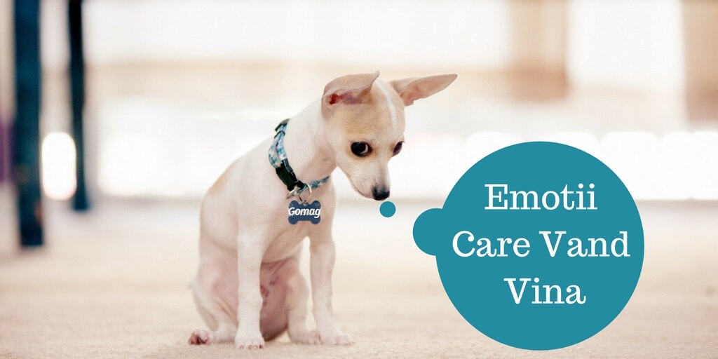 emotii-care-vand-vina