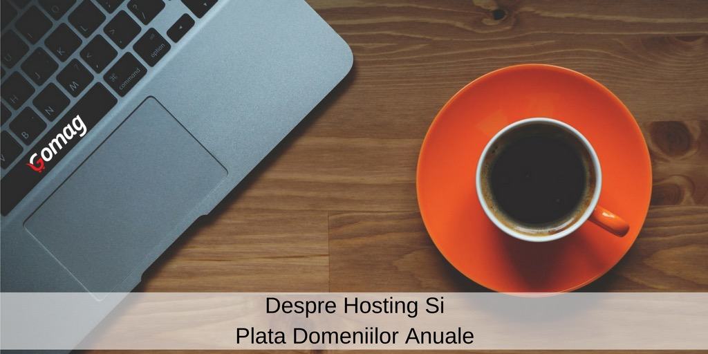 hosting plata domenii