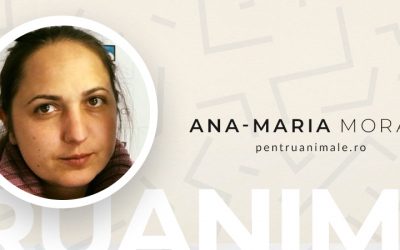De Vorba Cu Ana-Maria (Amia) Morar de la PentruAnimale #AntreprenoriatLaFeminin