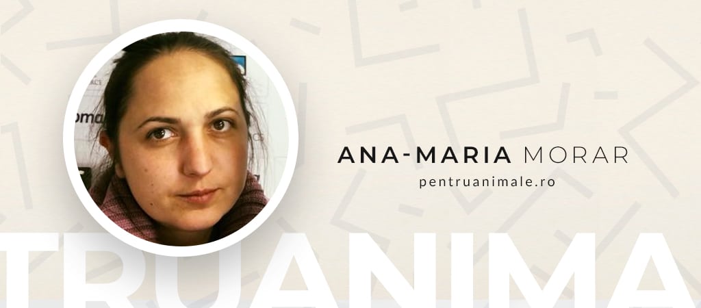 De vorba cu Ana-Maria (Amia) Morar de la PentruAnimale.ro