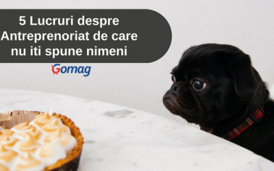 5 Lucruri despre Antreprenoriat de care nu iti spune nimeni