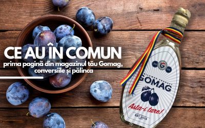Ce au in comun prima pagina din magazinul tau Gomag, conversiile si palinca