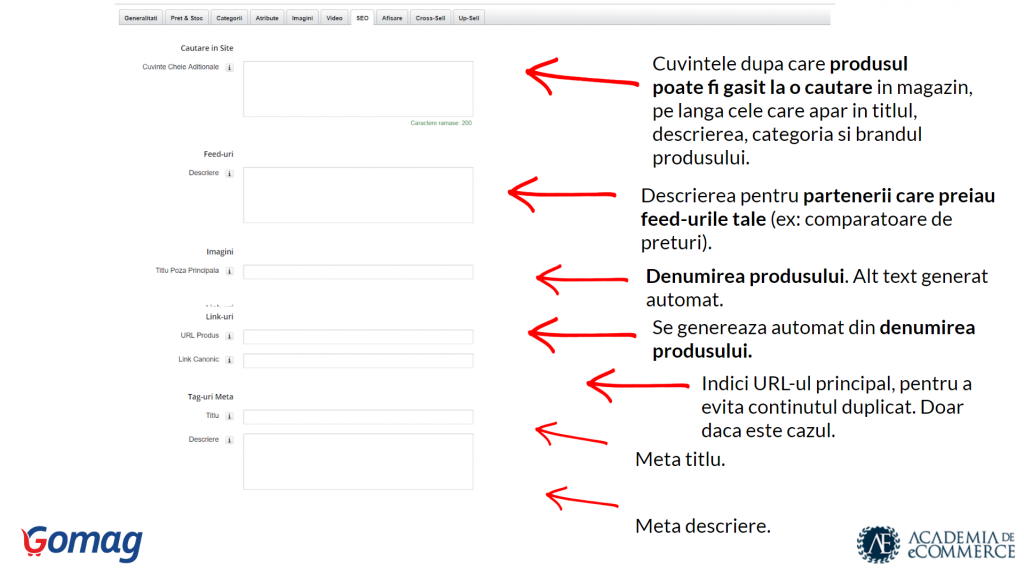 optimizare-seo-gomag