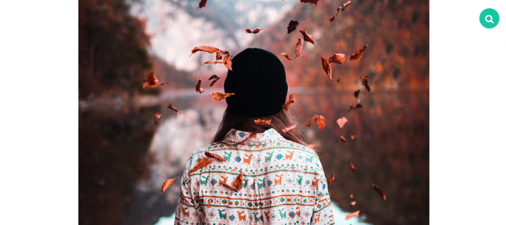 life-of-pix-site-fotografii