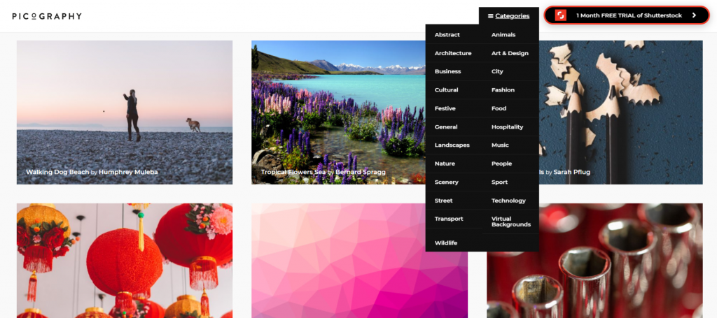picography-site-fotografii