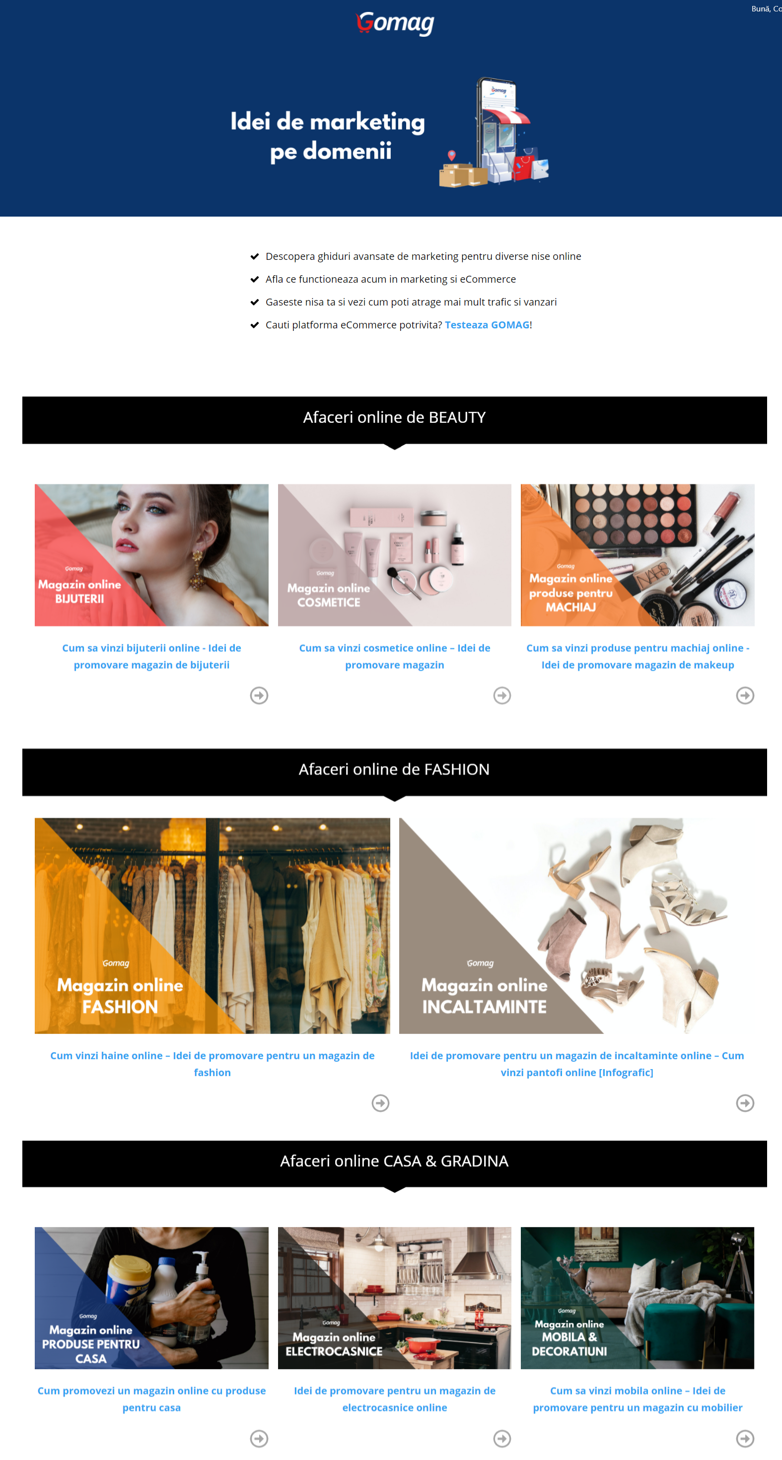 resurse-marketing-nise