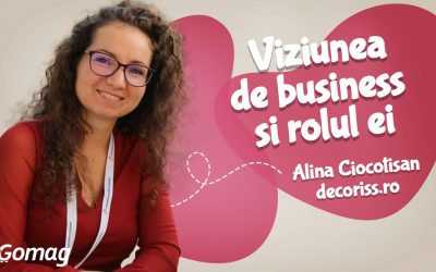 Viziunea de business si rolul ei in cresterea magazinului online D E C O R I S S, cu Alina Ciocotisan