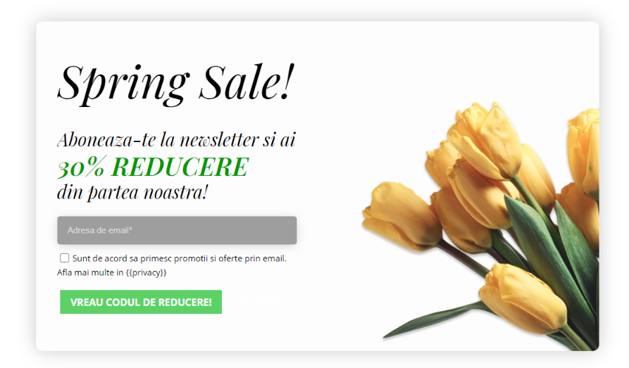 pop-up-abonare-exemplu
