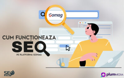 Cum functioneaza SEO pe platforma Gomag
