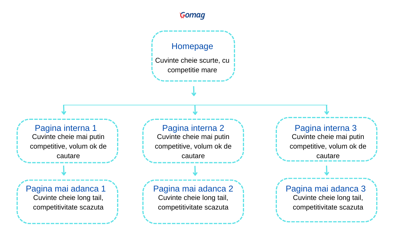 structurare-magazin-online-seo