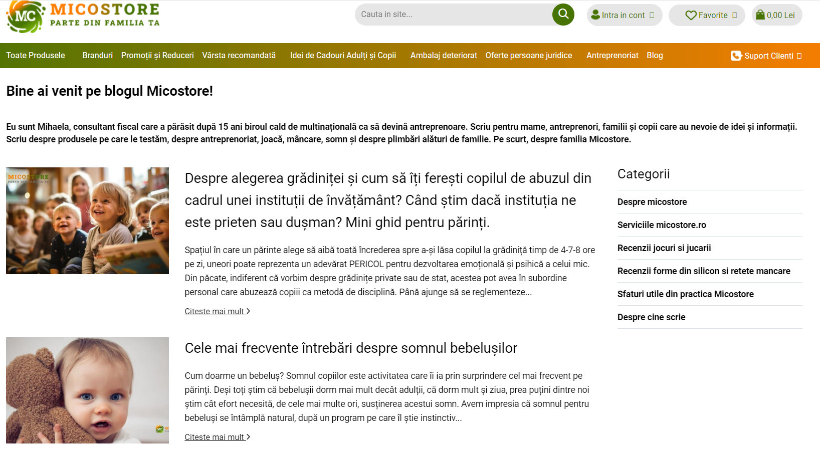 exemplu-blog-gomag