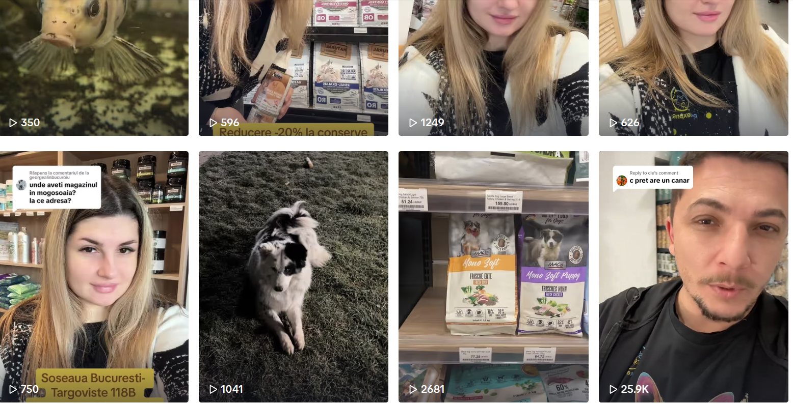 continut-video-exemple-magazin