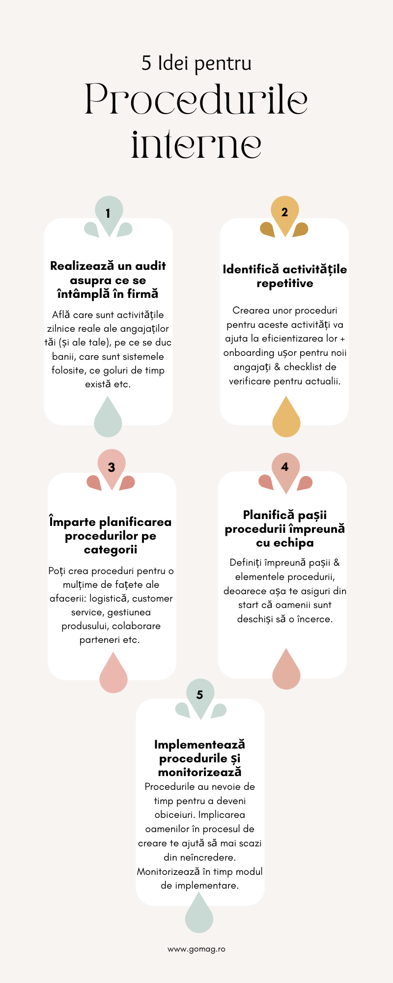 proceduri-interne-magazin