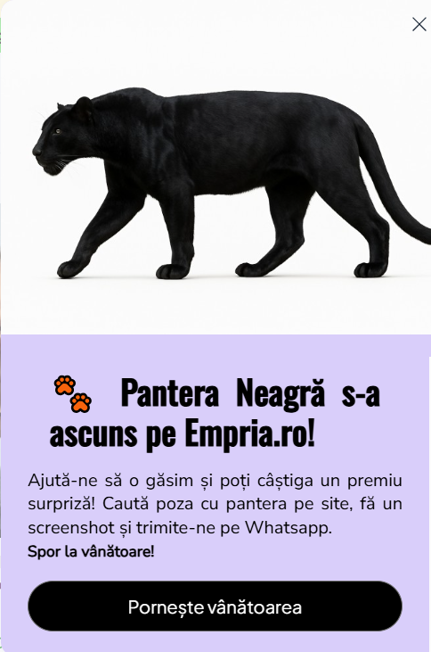 campanie-contextuala-empria-exemplu