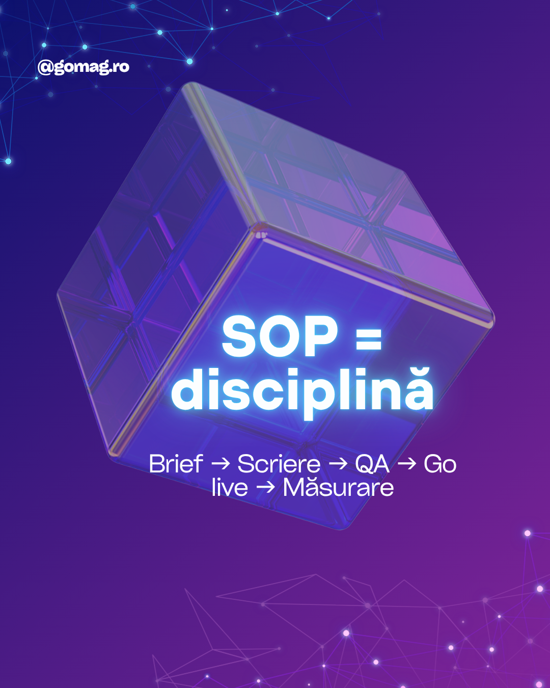 proceduri-interne-disciplina