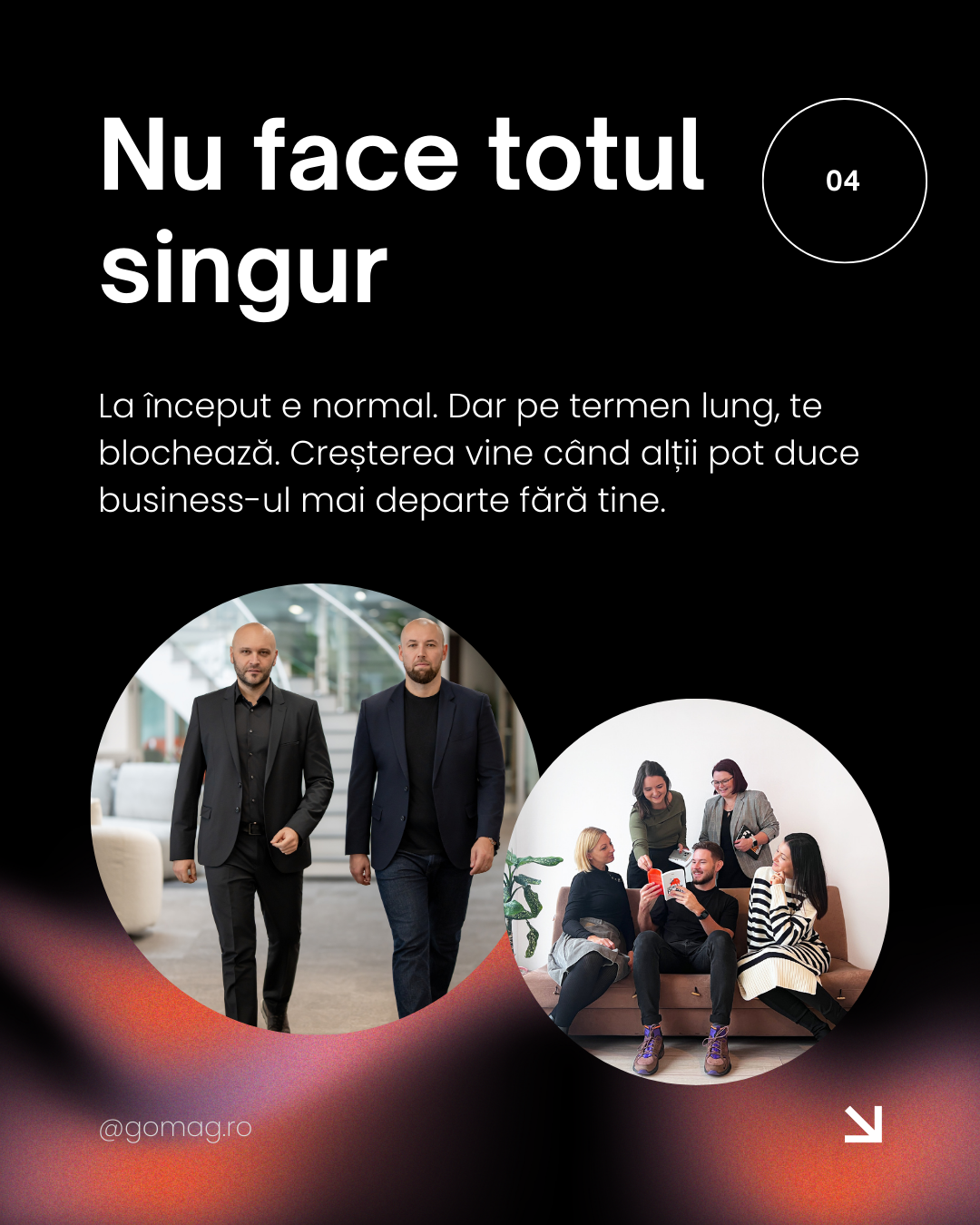 cultiva-echipa-proceduri