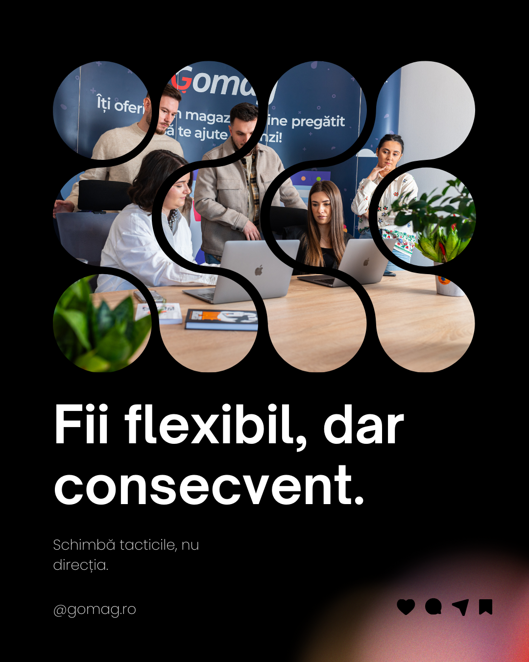 flexibilitate-cnsecvneta-necesare-business