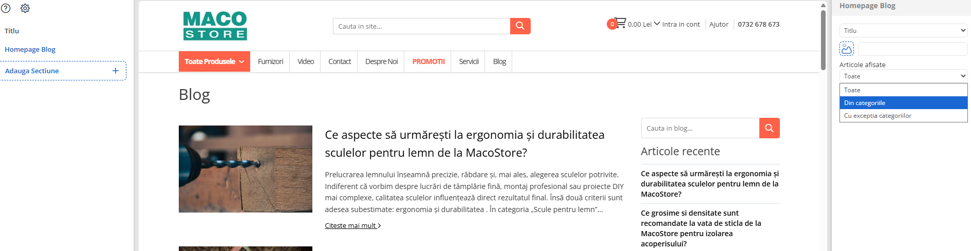 afisare-articole-homepage-blog