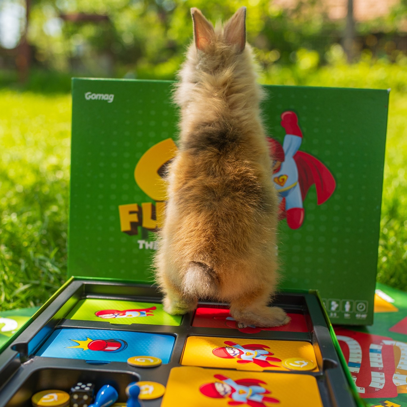 campanie-marketing-pasti