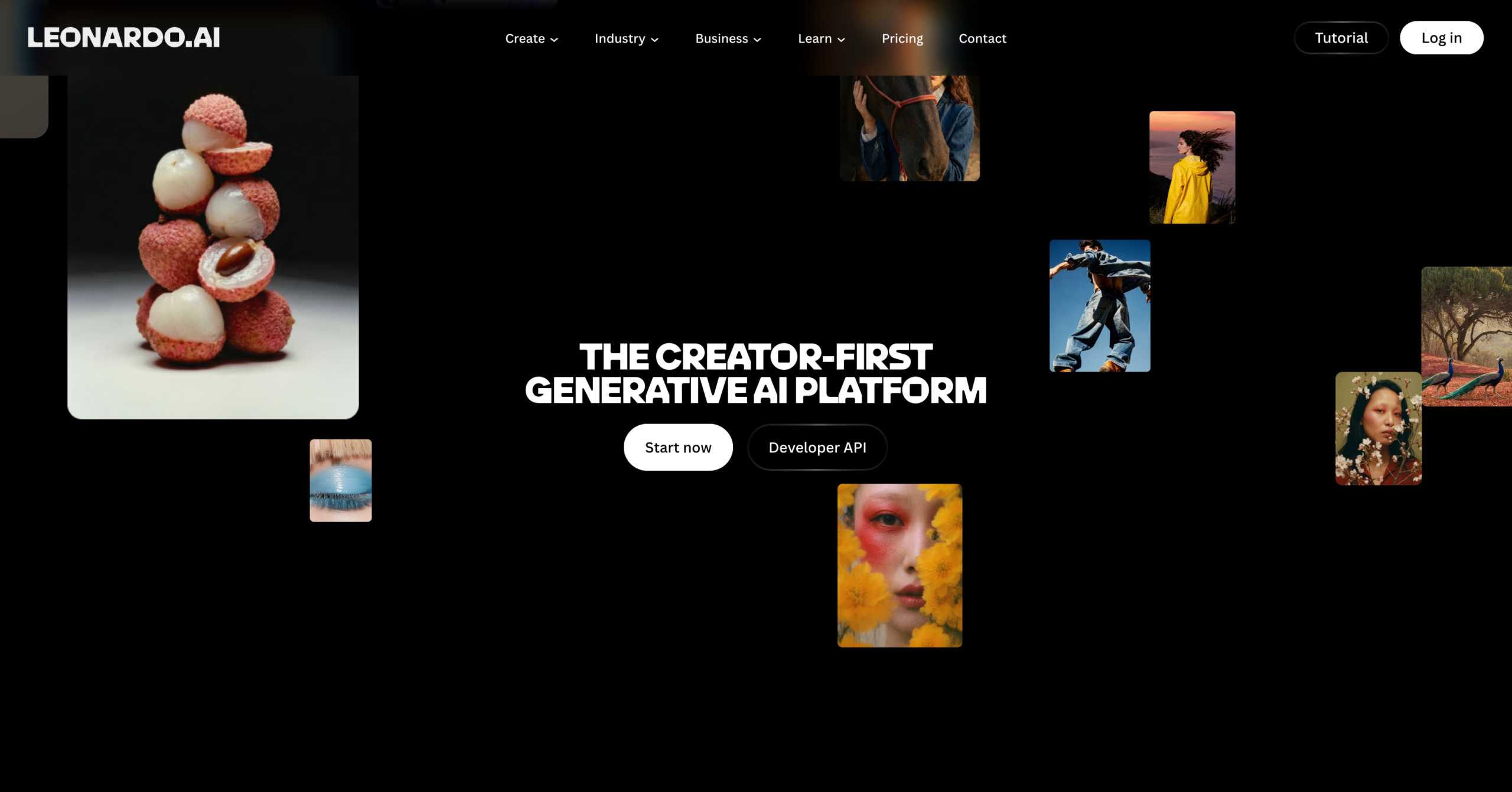 leonardo-ai-tools-gratuite leonardo-ai-tools-gratuite