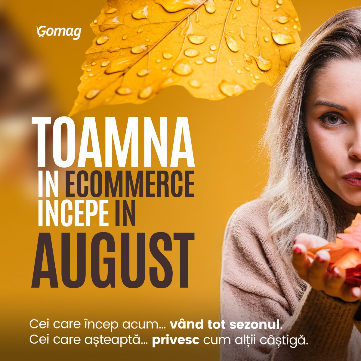 actiuni-campanii-august