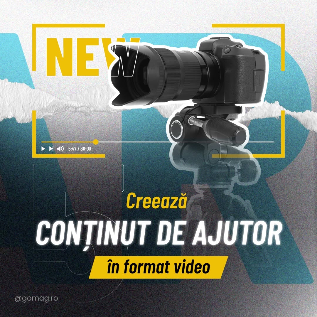 seo-continut-august